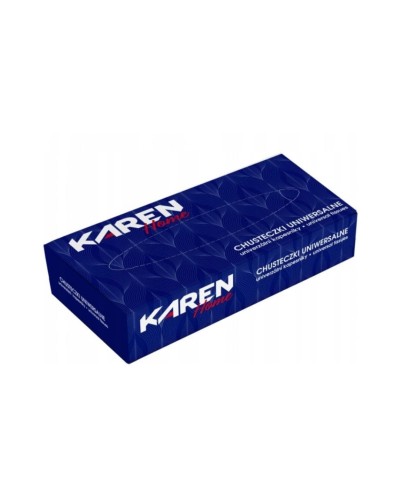 Chusteczki higieniczne 2W 100szt KAREN