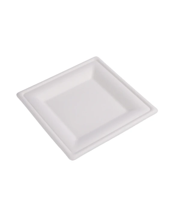 Talerz Kwadratowy z Trzciny Cukrowej 26 cm 10" BEZ SUP (50 szt./opk.)