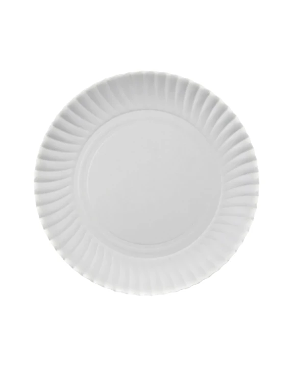 Talerz papierowy Biały okrągły 23 cm 100 szt